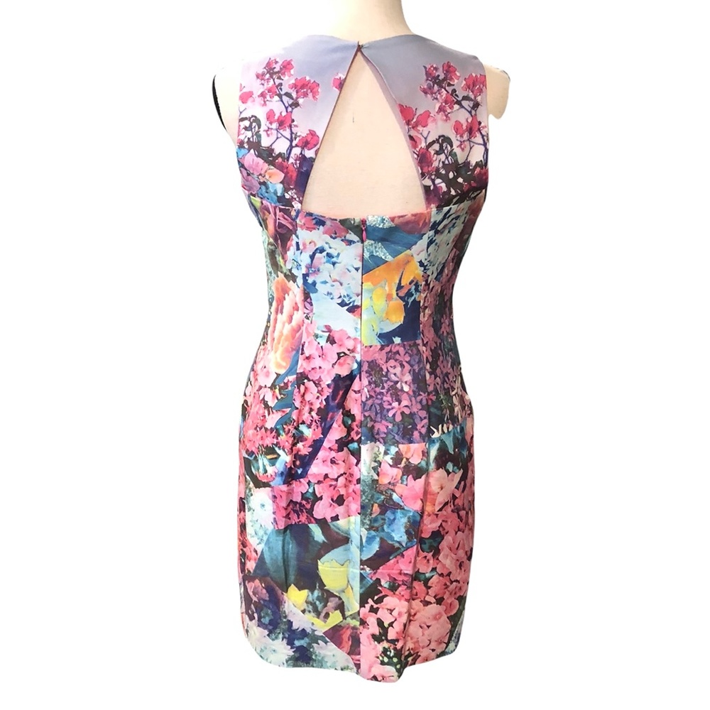 Cynthia Steefe Marlow Floral Sheath Dress Size 6 View 5